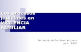 Los procesos judiciales en VIOLENCIA FAMILIAR Formación de Escribano Actuario Junio, 2010.