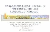 Responsabilidad Social y Ambiental de las Compañias Mineras presentado por Anida Yupari Taller Plan de Desarrollo en el área de influencia de la Cía. Minera.