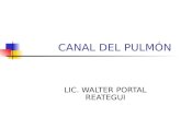 CANAL DEL PULMÓN LIC. WALTER PORTAL REATEGUI. SHOU TAI YIN FEI JING LO MAI CANAL DE PULMÓN.