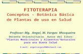 A.V.M FITOTERAPIA Conceptos - Botánica Básica de Plantas de uso en Salud Profesor: Mg. Angel, W. Vargas Mosqueira Docente Universitario. Autor del libro: