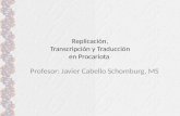 Replicación, Transcripción y Traducción en Procariota Profesor: Javier Cabello Schomburg, MS.