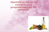 Identificación de la estructura y propiedades de los LIPIDOS.