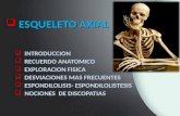 Esqueleto axial 2013 f