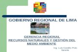 GERENCIA REGIONAL RECURSOS NATURALES Y GESTIÓN DEL MEDIO AMBIENTE GOBIERNO REGIONAL DE LIMA Ing. Luis Castillo Polo Gerente.