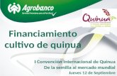 Financiamiento cultivo de quinua I Convención Internacional de Quinua De la semilla al mercado mundial Jueves 12 de Septiembre.