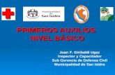 PRIMEROS AUXILIOS NIVEL BÁSICO Juan F. Giribaldi Ugaz Inspector y Capacitador Sub Gerencia de Defensa Civil Municipalidad de San Isidro.