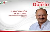 Capacitacion Electoral 2010 Vestatal