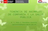 TENENCIA DE ANIMALES DE COMPAÑÍA Y LA SALUD PÚBLICA M. V. Rosa V. Gutiérrez Castilla rgutierrez@digesa.minsa.gob.pe.