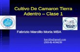 Cultivo De Camaron Tierra Adentro – Clase 1 Fabrizio Marcillo Morla MBA barcillo@gmail.com (593-9) 4194239.
