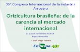 Orizicultura brasileña: de la carencia al mercado internacional 35º Congreso Internacional de la industria Arrocera 21 y 22 de noviembre de 2013 Bogotá-Colombia.