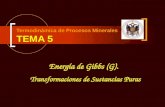 Termodinámica de Procesos Minerales TEMA 5 Energía de Gibbs (G). Transformaciones de Sustancias Puras.