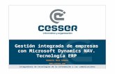 Gestión integrada de empresas con Microsoft Dynamics NAV. Tecnología ERP Roberto Ruiz Gimeno  integradores de tecnologías de la información.