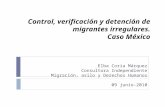 Control, verificación y detención de migrantes irregulares. Caso México Elba Coria Márquez Consultora Independiente Migración, asilo y Derechos Humanos.