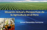 Ismael Benavides Ferreyros. En el Perú el sector agrícola es fundamental en el desarrollo económico y en la reducción de la pobreza. Casi una tercera.