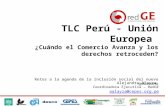 TLC Perú - Unión Europea ¿Cuándo el Comercio Avanza y los derechos retroceden? Retos a la agenda de la inclusión social del nuevo gobierno Alejandra Alayza.