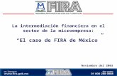 La intermediación financiera en el sector de la microempresa: Noviembre del 2003 El caso de FIRA de México.
