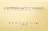 Dr. Christian Rodrigo Alcocer Arreguín Pediatría.
