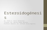 Esteroidogénesis Dr. Pedro A. Ponce Barberena. Titular: Dr. Héctor Godoy Morales. Profesor Adjunto: Dr. Alfredo Ulloa-Aguirre.