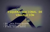 ESQUEMA NACIONAL DE VACUNACIÓN Dra. Lucia Álvarez Hernández Dra. Monserrat Páez Villa IP Naiby Saavedra Gualito.