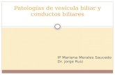 Patologías de vesícula biliar y conductos biliares IP Mariana Morales Saucedo Dr. Jorge Ruiz.