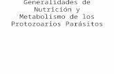 Generalidades de Nutrición y Metabolismo de los Protozoarios Parásitos.