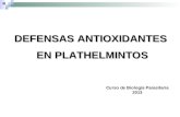 DEFENSAS ANTIOXIDANTES EN PLATHELMINTOS EN PLATHELMINTOS Curso de Biología Parasitaria 2013.