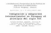 « EstadoActual y Perspectivas de las Políticas de Migración en el MERCOSUR » Flacso Uruguay, Unesco. Montevideo, 12 y 13 denoviembre 2009 Inmigración y.