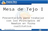 Mesa de Tejo I Presentación para trabajar con los Principios de Newton en forma cualitativa.