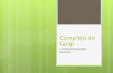 Complejo de Golgi Cristina Hernández Navarro. Características Del Complejo de Golgi.