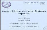 Aspect Mining mediante Sistemas Expertos por Lucía Masola Nahuel Sliba Director: Dra. Claudia Marcos Co-Director: Ing. Esteban Abait Tandil, 14 de Diciembre.