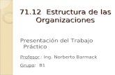 71.12 Estructura de las Organizaciones Presentación del Trabajo Práctico Profesor : Ing. Norberto Barmack Grupo: B1.