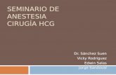SEMINARIO DE ANESTESIA CIRUGÍA HCG Dr. Sánchez Suen Vicky Rodriguez Edwin Salas Jorge Sandoval.