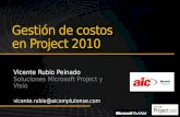 Gestión de costos en Project 2010. Nuestra empresa Gestión de Costos en Project 2010.