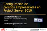 Configuración de campos empresariales en Project Server 2010.