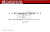 TEORIA DEL CAOS Y SISTEMAS CAOTICOS 1 DE 20 SISTEMAS EXPERTOS PROFESOR: LUIS HERNANDEZ LARA.