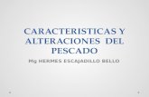 CARACTERISTICAS Y ALTERACIONES DEL PESCADO Mg HERMES ESCAJADILLO BELLO.