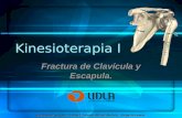 Kinesioterapia I Fractura de Clavícula y Escapula. Stephanie Hopper, Pamela Toledo, Mariel Muños, Jorge Aravena.