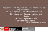 Proyecto de Mejora en los Procesos de Supervisión de los Agentes de Intermediación Sistema de Supervisión en Línea de los Agentes de Intermediación José.