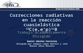 Correcciones radiativas en la reacción cuasielástica 12 C(e,ep) 11 B Trabajo Académicamente Dirigido Daniel Sánchez Parcerisa Dirigido por Joaquín López.