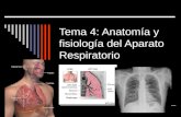 Tema 4: Anatomía y fisiología del Aparato Respiratorio.