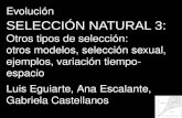 Evolución SELECCIÓN NATURAL 3: Otros tipos de selección: otros modelos, selección sexual, ejemplos, variación tiempo- espacio Luis Eguiarte, Ana Escalante,