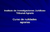 Instituto de Investigaciones Jurídicas- Tribunal Agrario Curso de nulidades agrarias.
