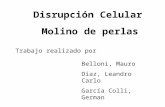 Disrupción Celular Molino de perlas Trabajo realizado por Belloni, Mauro Díaz, Leandro Carlo García Colli, German.