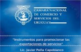 Instrumentos para promocionar las exportaciones de servicios Lic. Javier Peña Capobianco.
