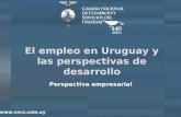 El empleo en Uruguay y las perspectivas de desarrollo  Perspectiva empresarial.