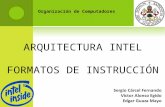 ARQUITECTURA INTEL FORMATOS DE INSTRUCCIÓN Organización de Computadores.
