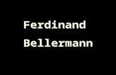 Ferdinand Bellermann Ferdinand Bellermann 1814 - 1889 La visión europea del paisaje venezolano.