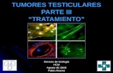 TUMORES TESTICULARES PARTE III TRATAMIENTO Servicio de Urología HCM Agosto de 2008 Pablo Alvarez.