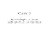 Clase 3 Terminología uniforme aplicación en la practica.