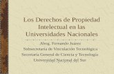 Los Derechos de Propiedad Intelectual en las Universidades Nacionales Abog. Fernando Juárez Subsecretaría de Vinculación Tecnológica Secretaría General.
